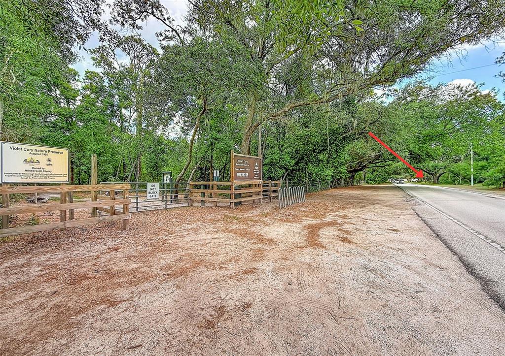 1819 Sinclair Hills Road Lutz, FL 33549 - Photo 8 of 60 a backyard of a house with barbeque oven