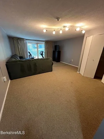 a view of livingroom with furniture