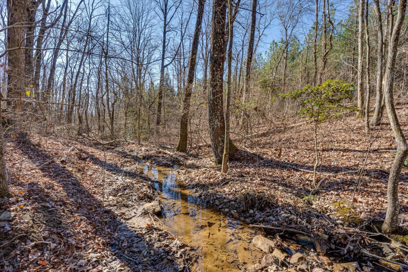 805 Dukes Road Signal Mountain, TN 37377 - Photo 19 of 33 Gallery Image 19