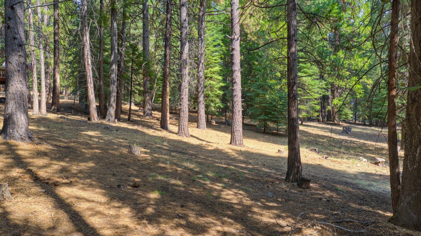 615 Deep Forest Road Westwood, CA 96137 - Photo 3 of 8 Gallery Image 3