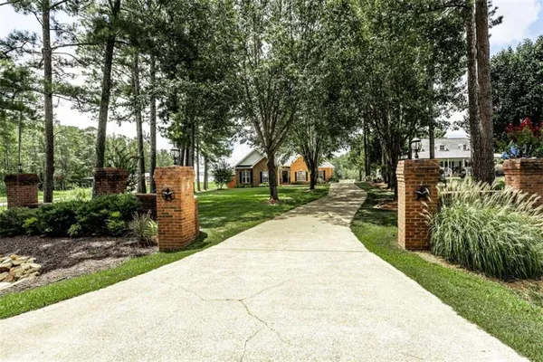 a park view with large trees