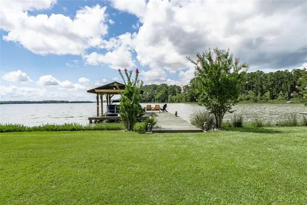 a view of a garden with an tree