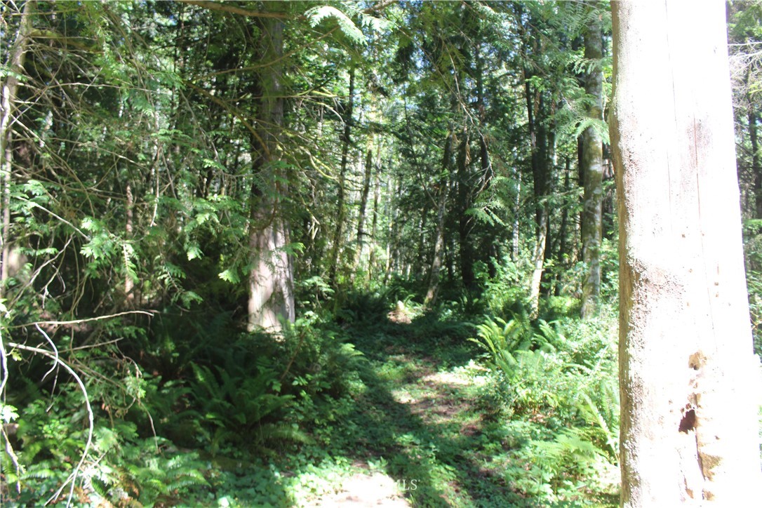 0 Highland Road Northeast Kingston, WA 98346 - Photo 1 of 19 Gallery Image 1