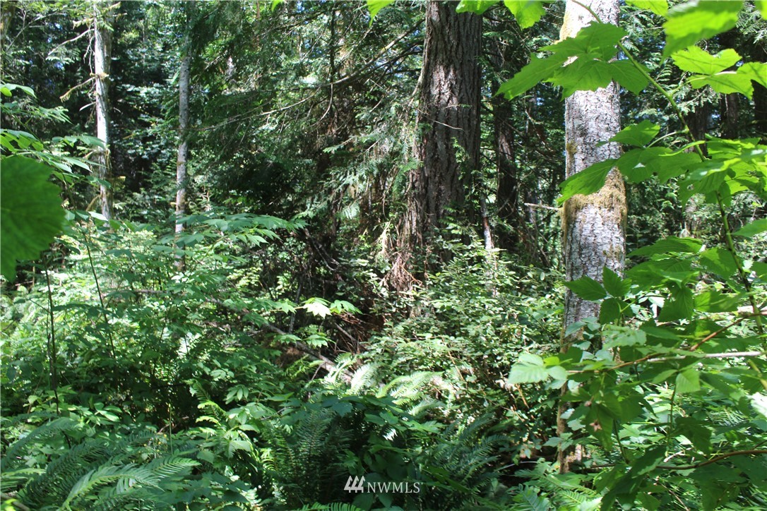 0 Highland Road Northeast Kingston, WA 98346 - Photo 2 of 19 Gallery Image 2