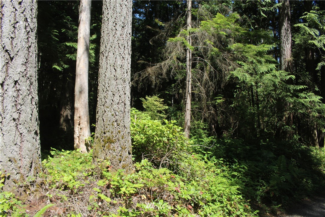 0 Highland Road Northeast Kingston, WA 98346 - Photo 12 of 19 Gallery Image 12
