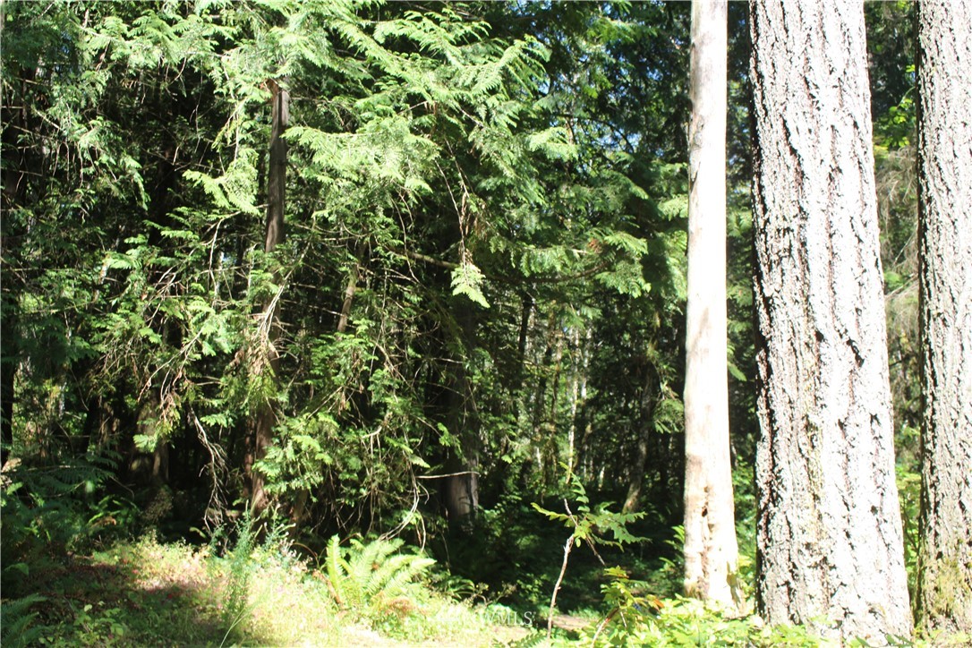 0 Highland Road Northeast Kingston, WA 98346 - Photo 14 of 19 Gallery Image 14
