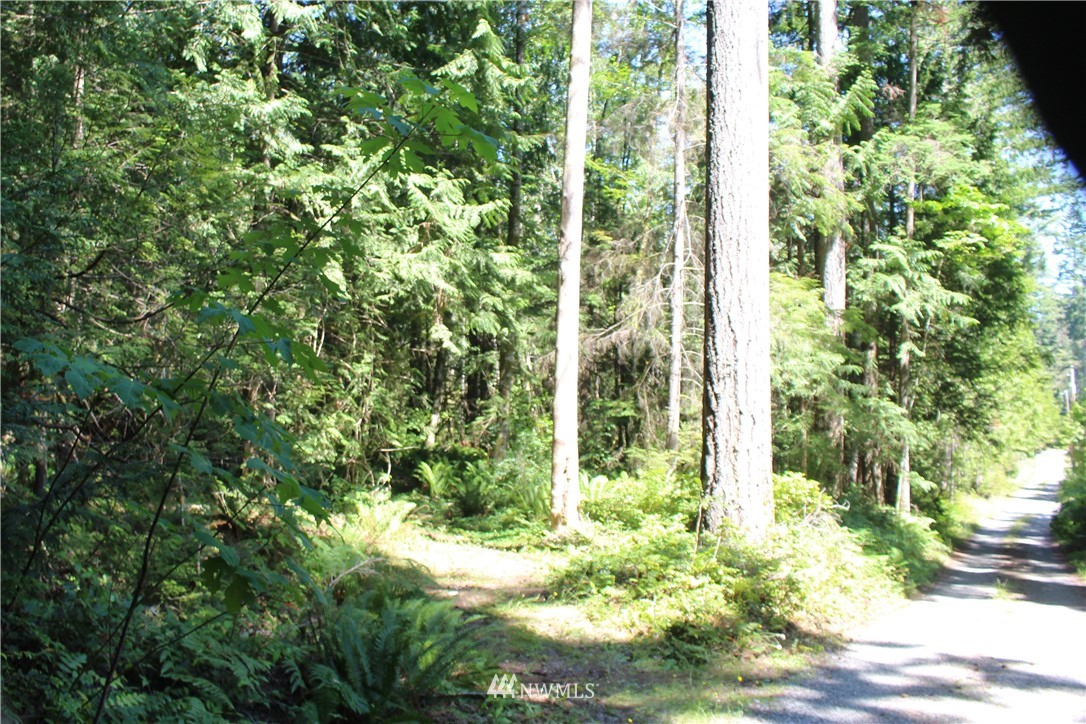 0 Highland Road Northeast Kingston, WA 98346 - Photo 16 of 19 Gallery Image 16