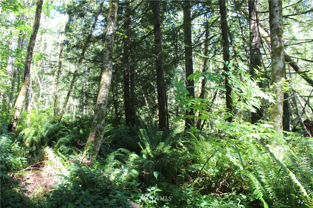 0 Highland Road Northeast Kingston, WA 98346 - Photo 10 of 19 Gallery Image 10