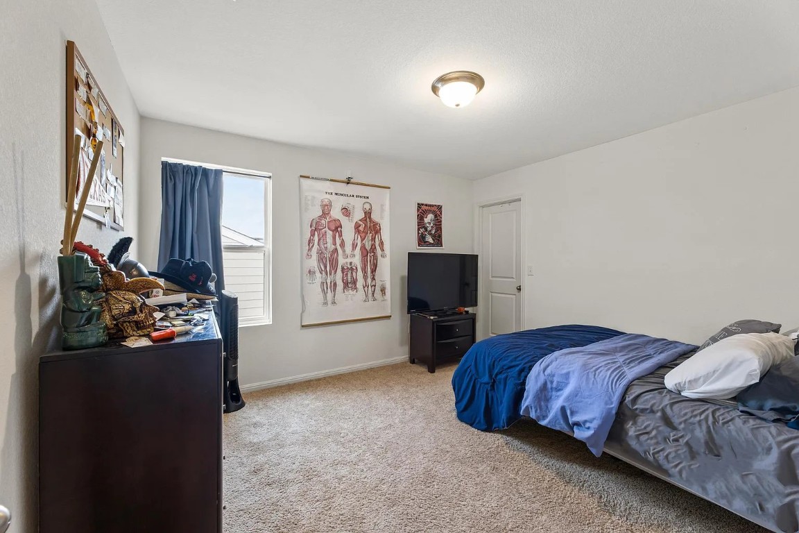 19605 Caymus Drive Pflugerville, TX 78660 - Photo 16 of 26 Bedroom featuring carpet floors and baseboards