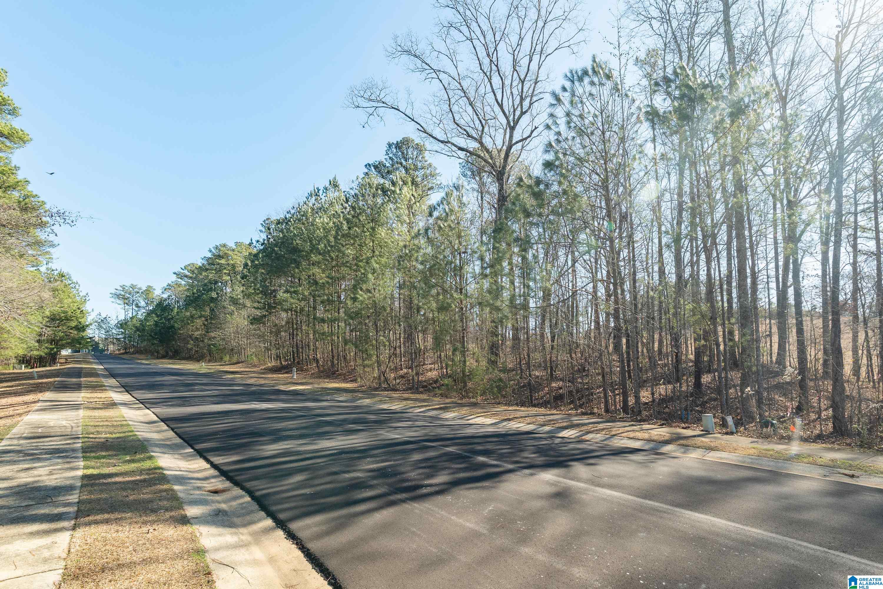 100 Coves Drive Vincent, AL 35178 - Photo 6 of 21