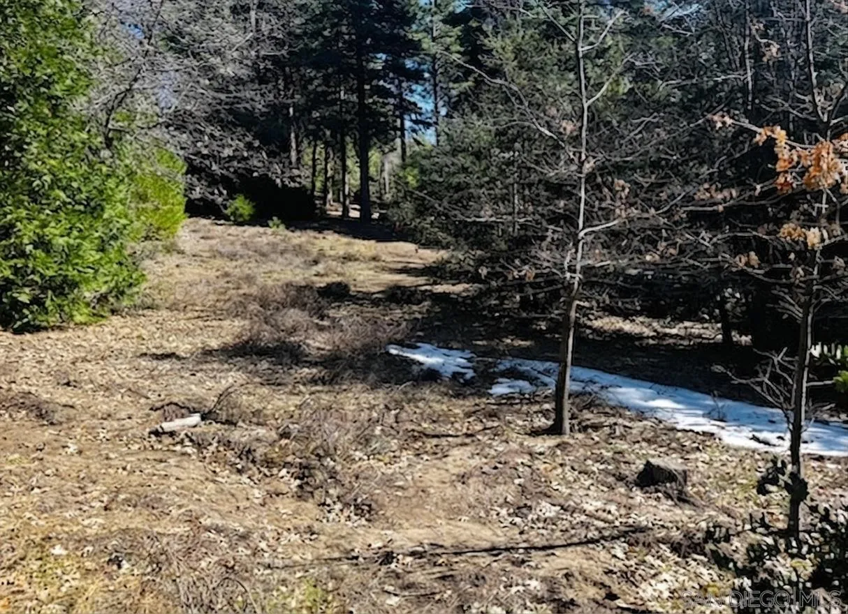 0 Laurel Trail, Unit LOT 7 Idyllwild, CA 92549 - Photo 13 of 13 a view of a yard with trees