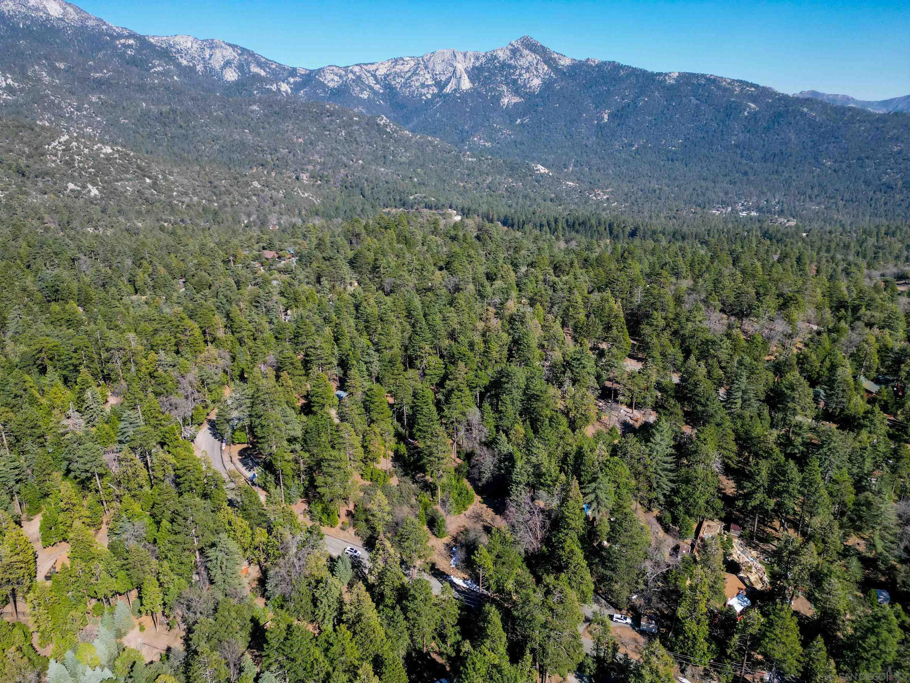 0 Laurel Trail, Unit LOT 7 Idyllwild, CA 92549 - Photo 2 of 13 a view of a forest with a mountain in the background