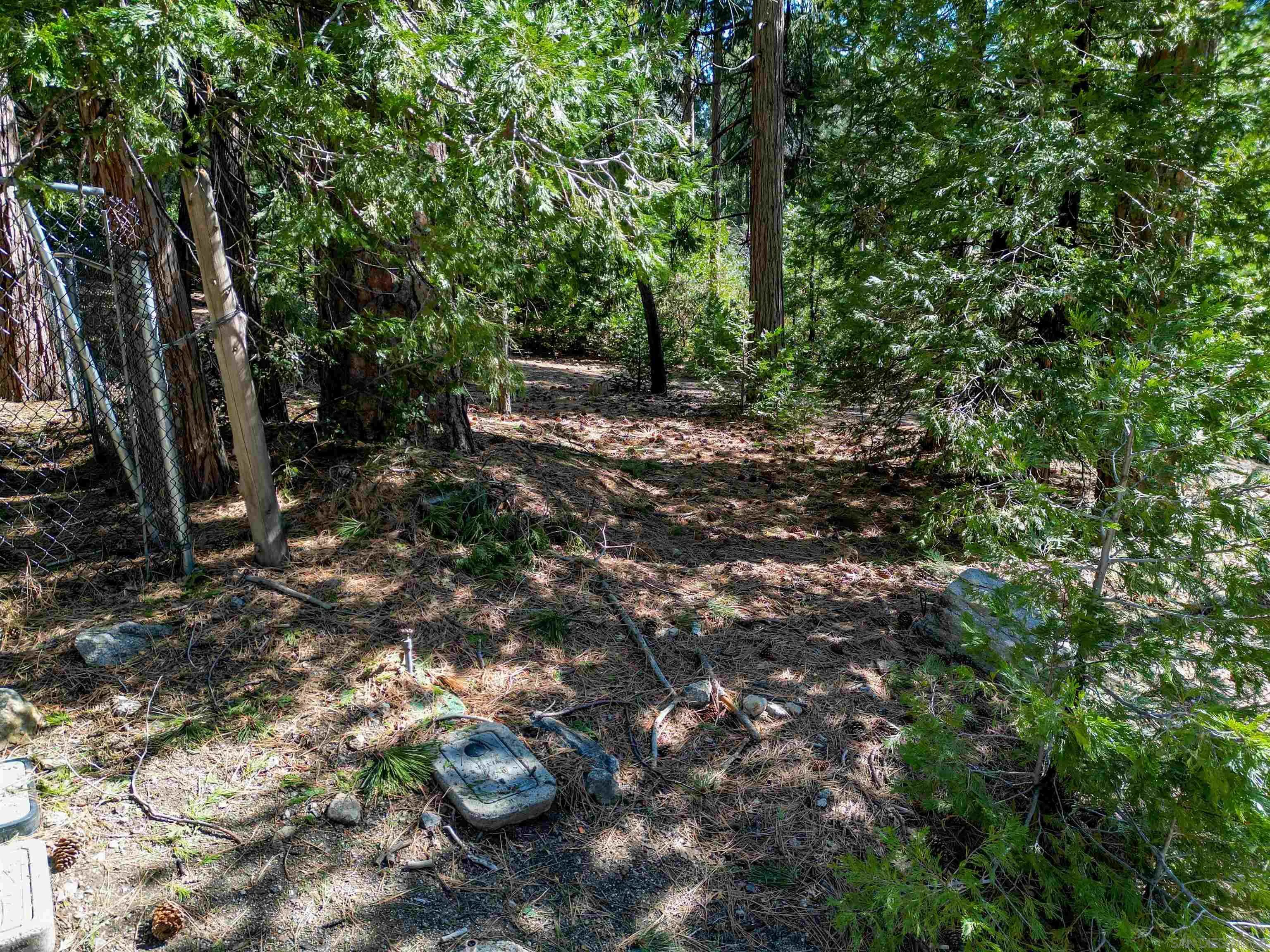 0 Laurel Trail, Unit LOT 7 Idyllwild, CA 92549 - Photo 7 of 13 a backyard of a house with lots of green space