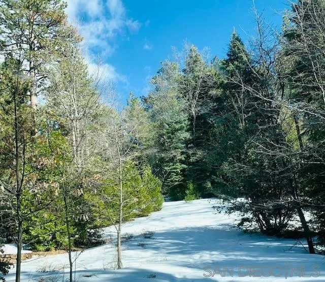 0 Laurel Trail, Unit LOT 7 Idyllwild, CA 92549 - Photo 8 of 13 a view of a street from a bench
