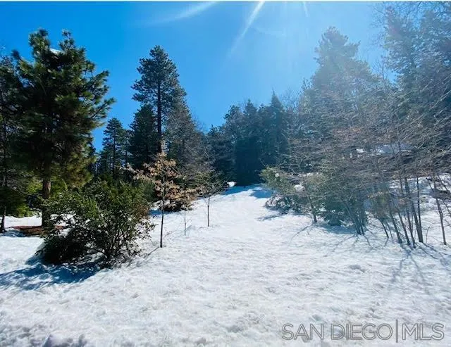0 Laurel Trail, Unit LOT 7 Idyllwild, CA 92549 - Photo 9 of 13 a view of a forest with trees