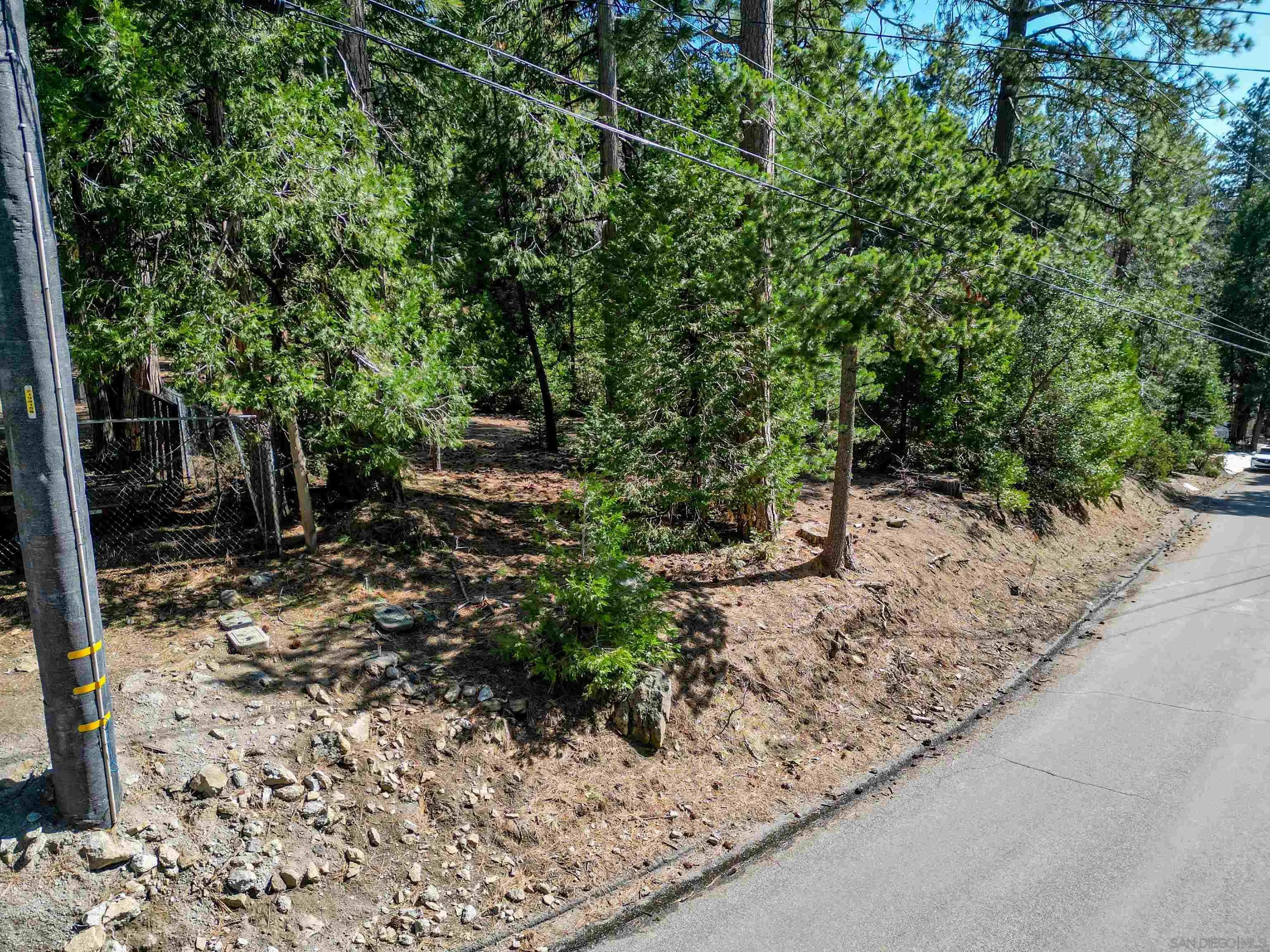 0 Laurel Trail, Unit LOT 7 Idyllwild, CA 92549 - Photo 10 of 13 a view of a yard with plants and trees