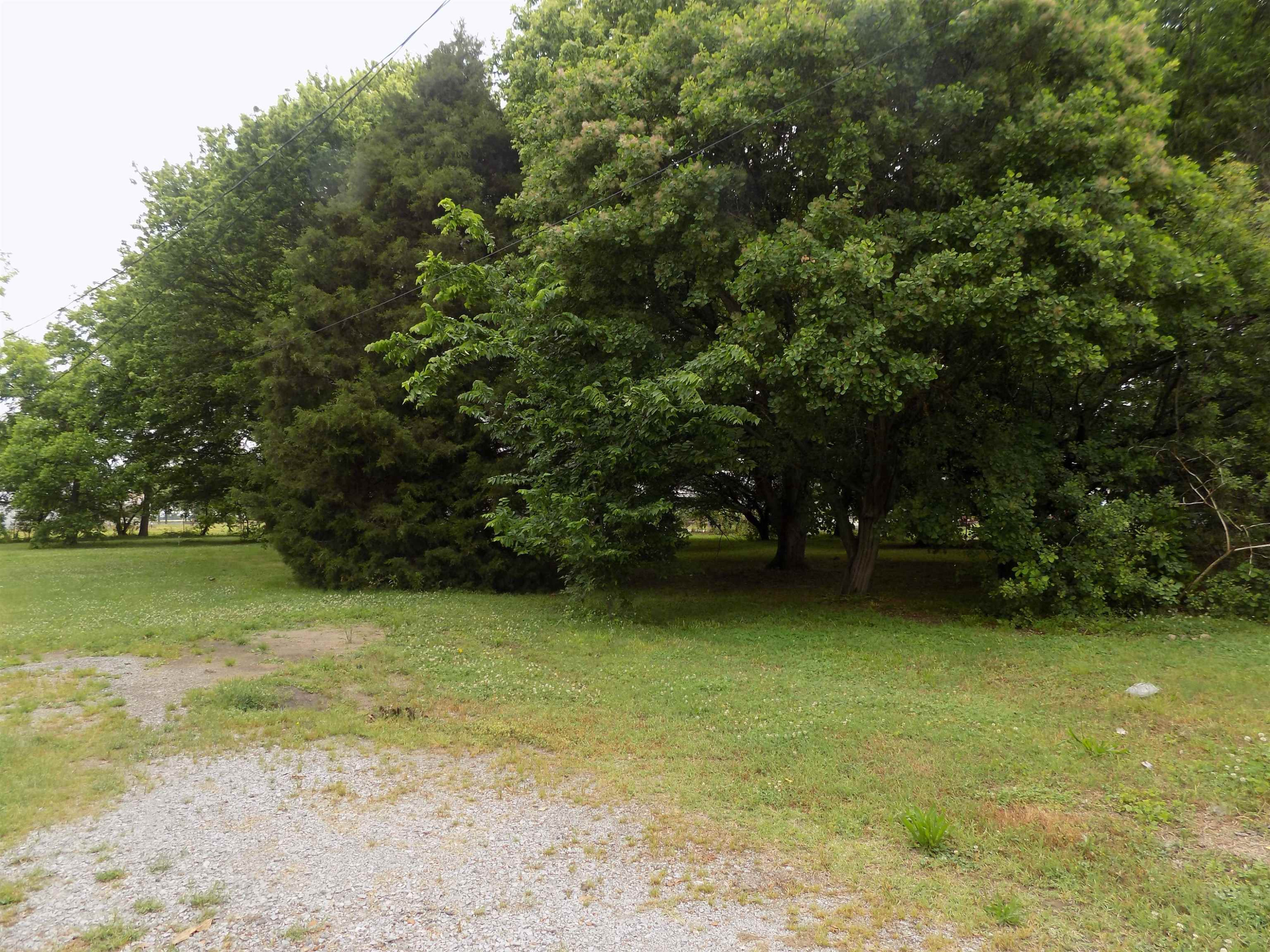 208 Depot Street Ridgely, TN 38080 - Photo 4 of 17 Photo 4