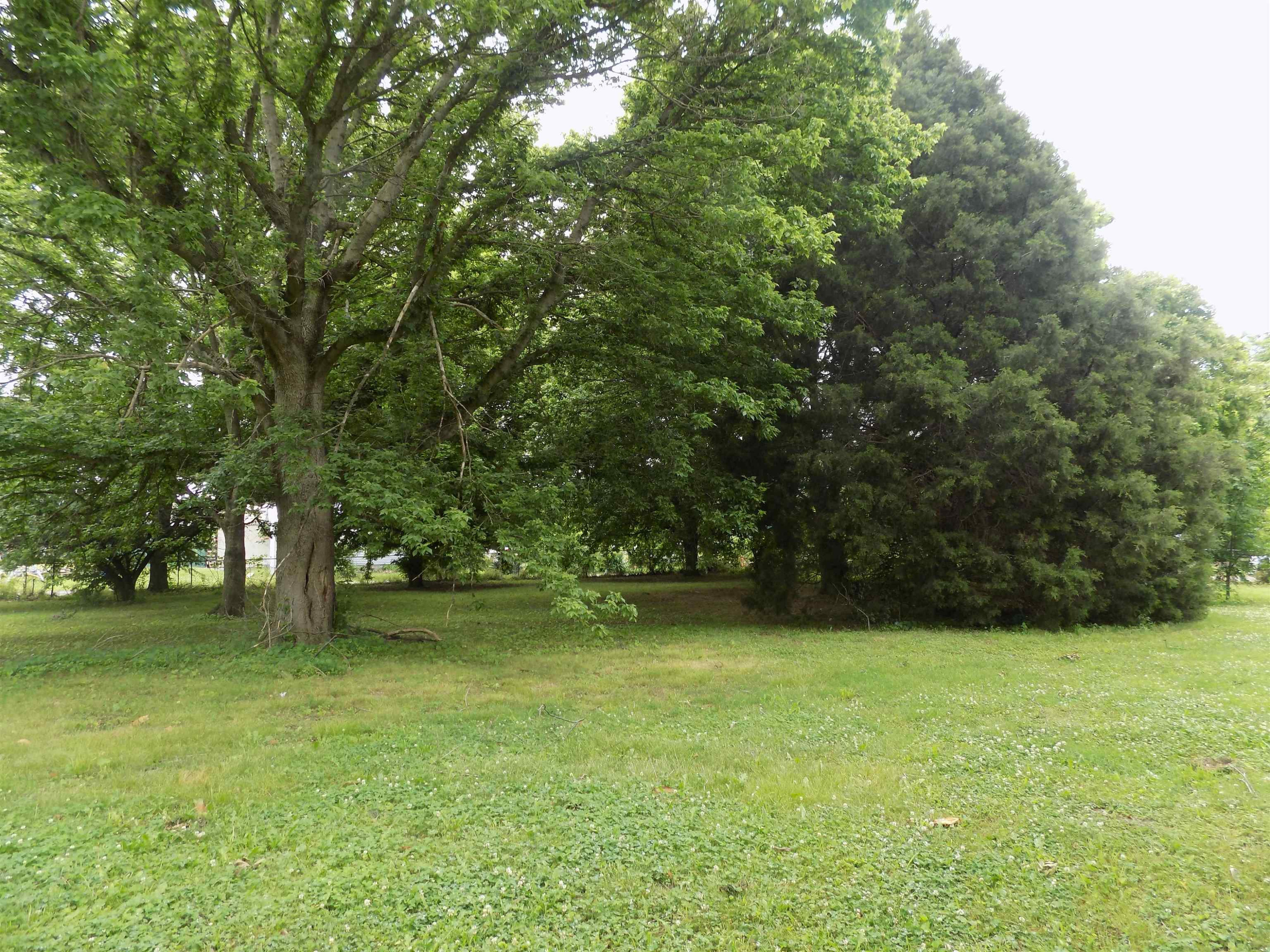 208 Depot Street Ridgely, TN 38080 - Photo 5 of 17 Photo 5