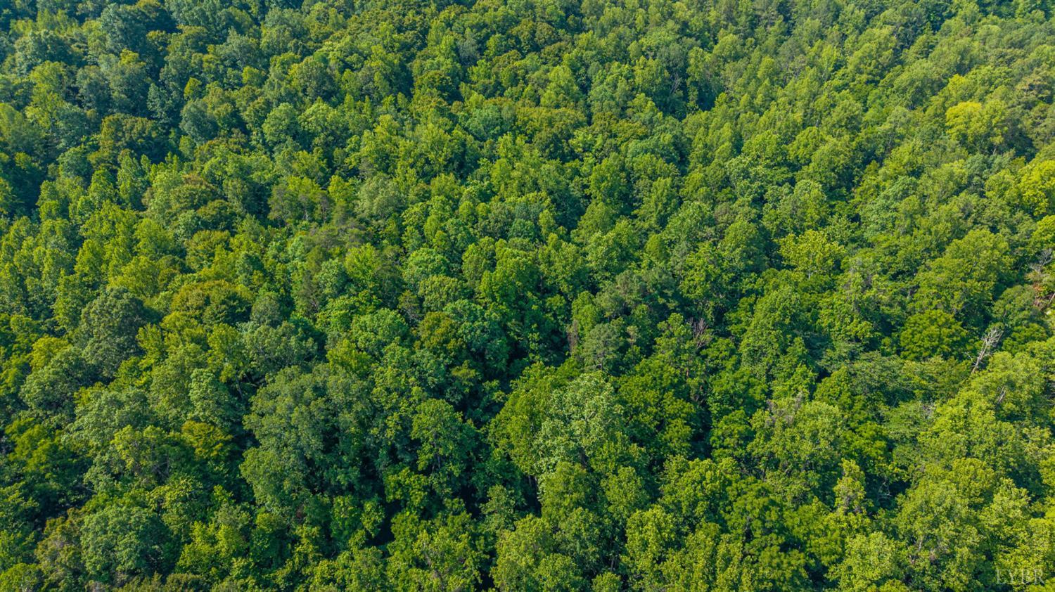 0 Mt Athos Road Lynchburg, VA 24504 - Photo 2 of 42