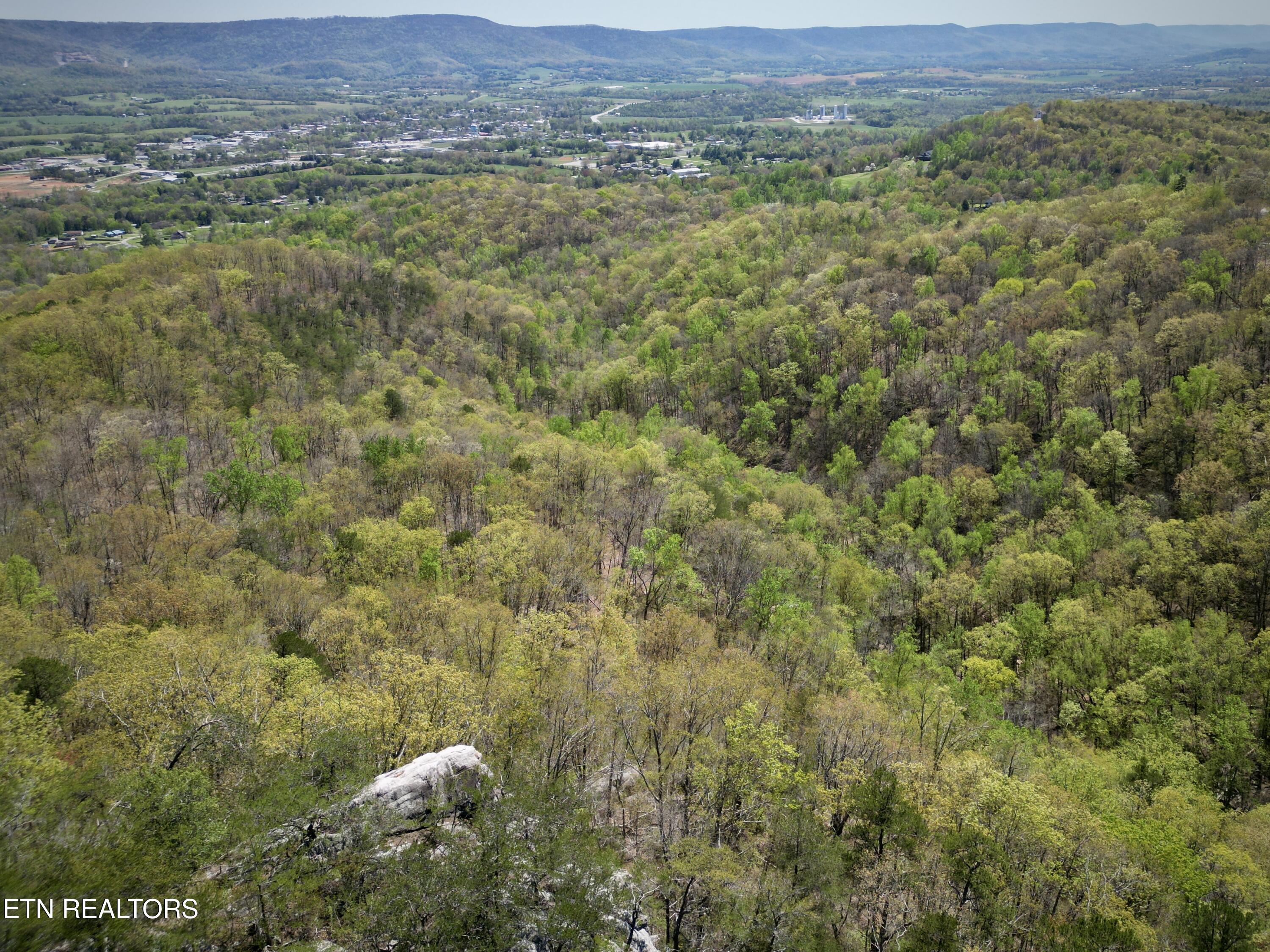 26 Acres Road Pikeville, TN 37367 - Photo 15 of 17 DJI_0768