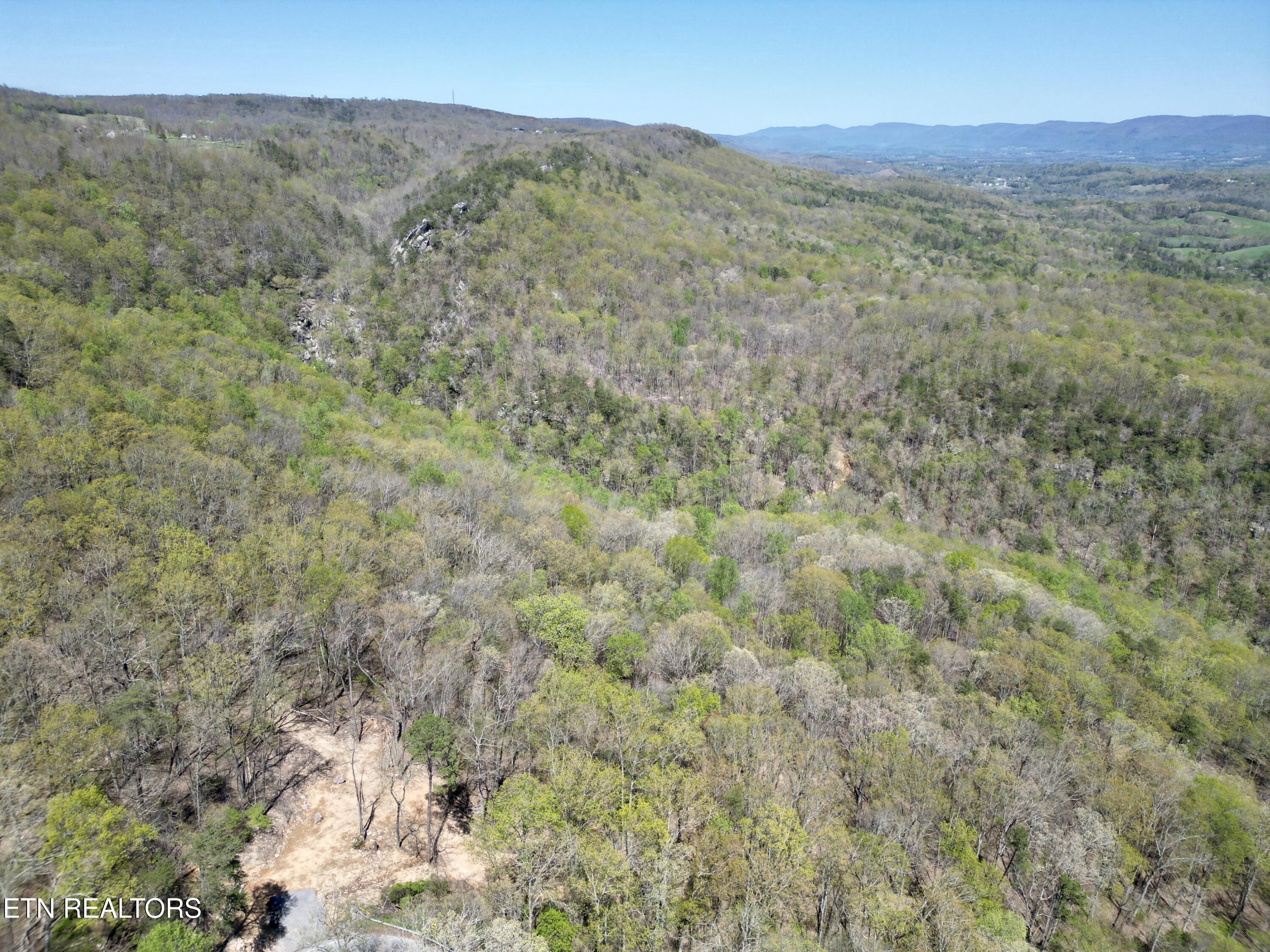 26 Acres Road Pikeville, TN 37367 - Photo 16 of 17 DJI_0770
