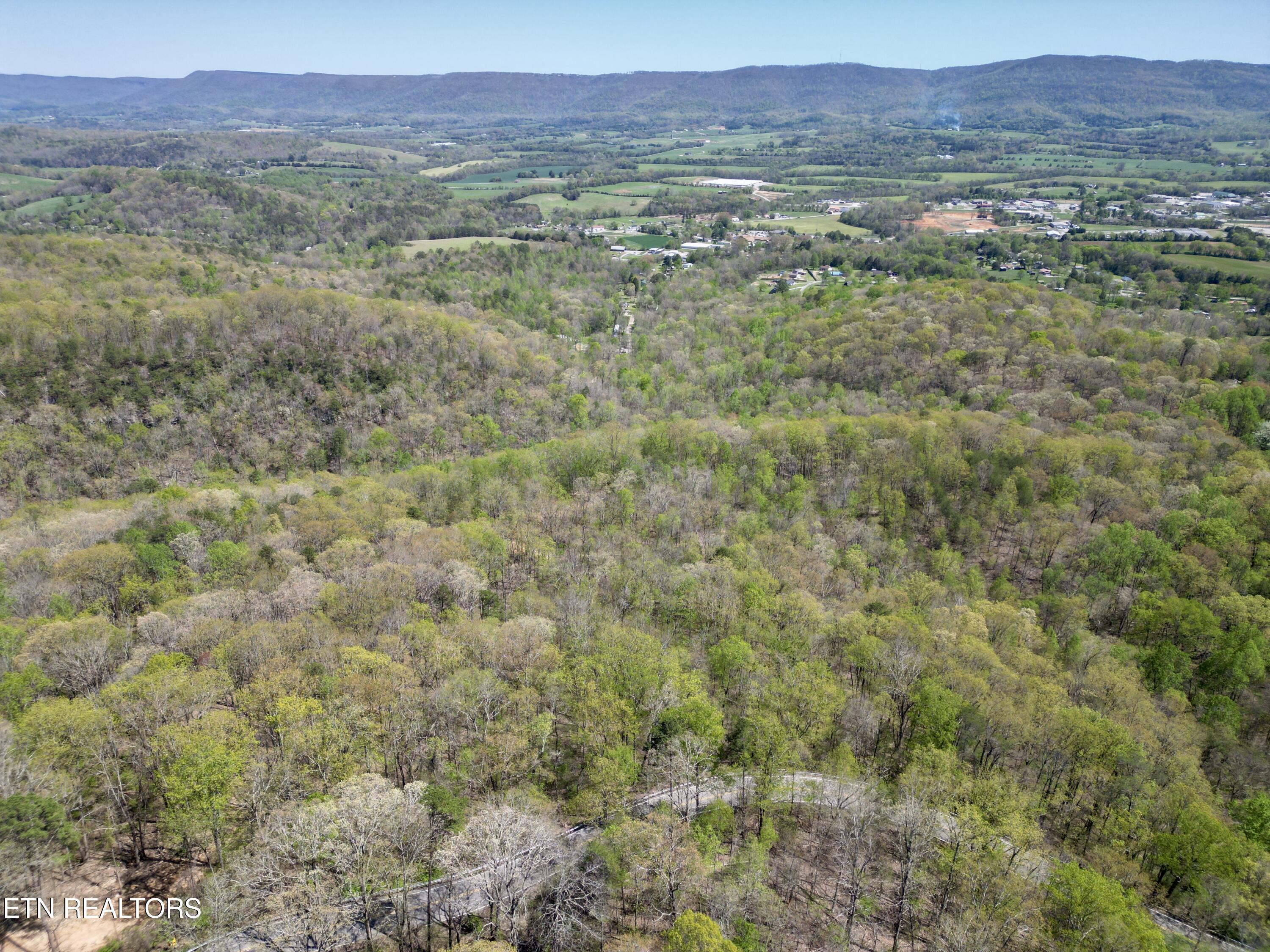 26 Acres Road Pikeville, TN 37367 - Photo 17 of 17 DJI_0772