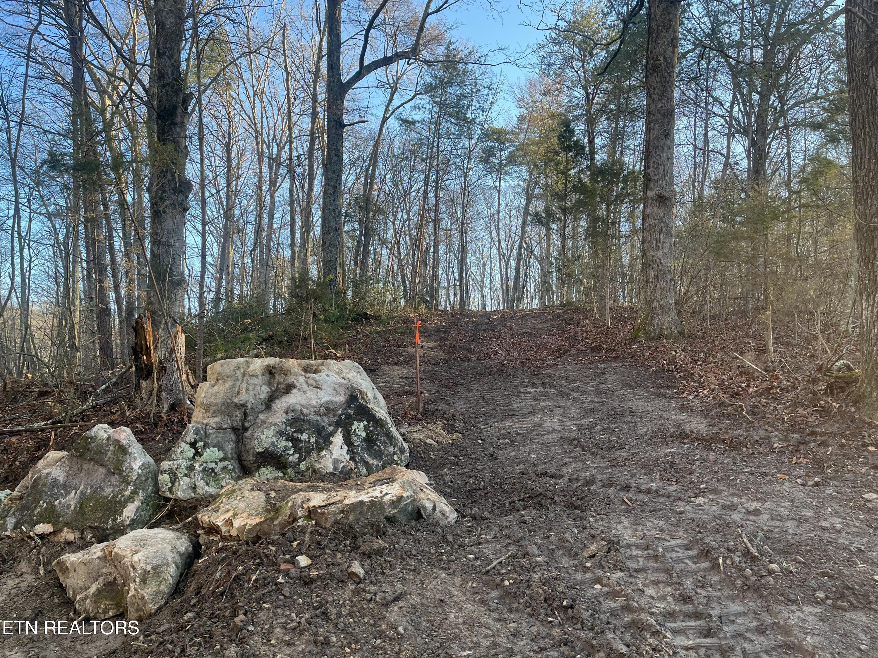 26 Acres Road Pikeville, TN 37367 - Photo 2 of 17 Old Spencer Rd.