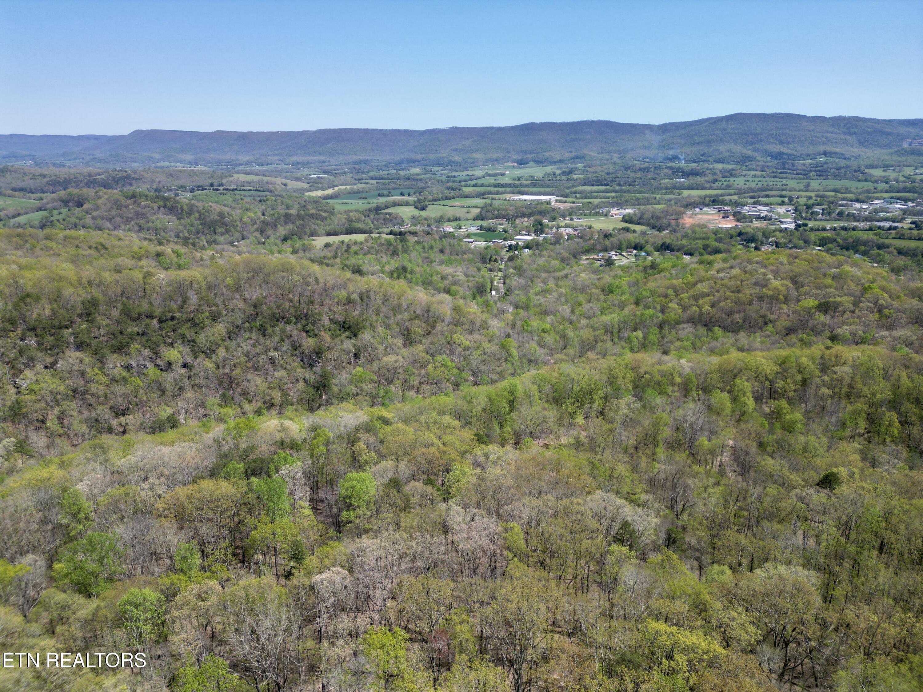 26 Acres Road Pikeville, TN 37367 - Photo 4 of 17 DJI_0753