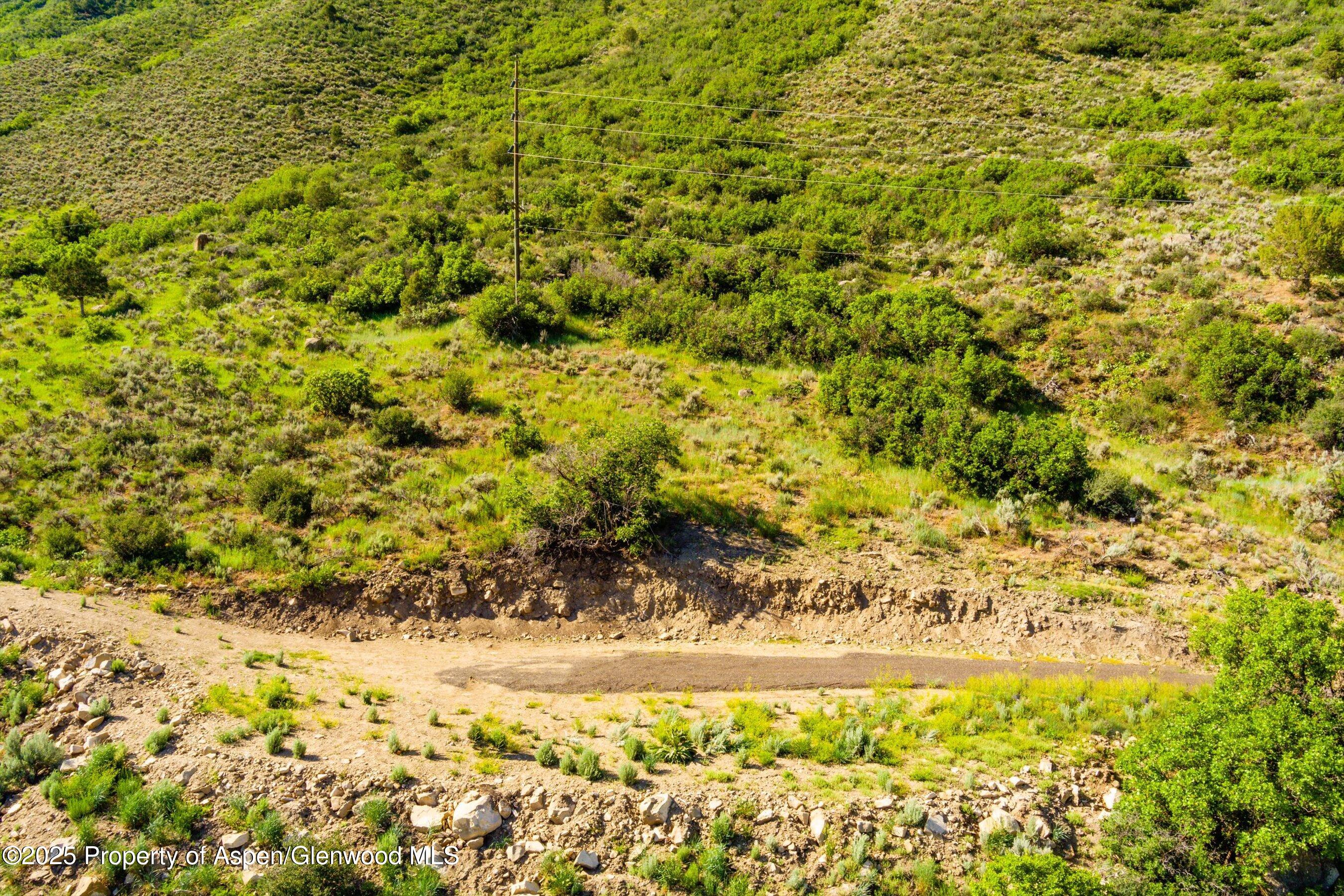 Lot 2 County Road 335 New Castle, CO 81647 - Photo 2 of 8 a view of a yard with a tree