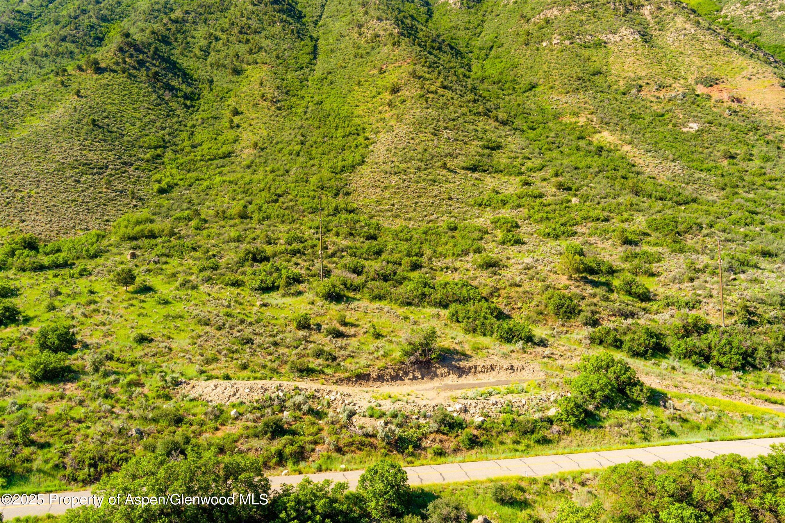 Lot 2 County Road 335 New Castle, CO 81647 - Photo 3 of 8 a view of a big yard with plants and large trees