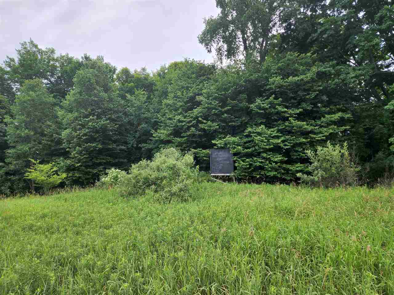 1 1 1 Mile Road White Cloud, MI 49349 - Photo 3 of 12