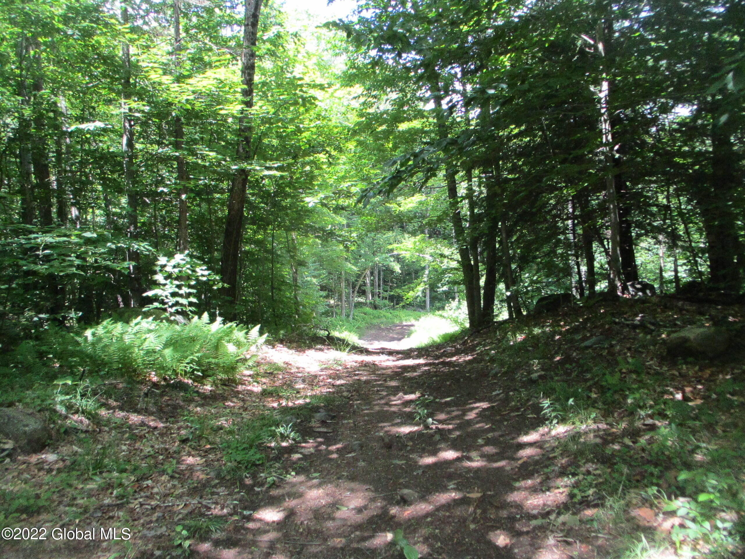 197 Min Allen Road Hadley, NY 12835 - Photo 36 of 73 36 ATV Trail