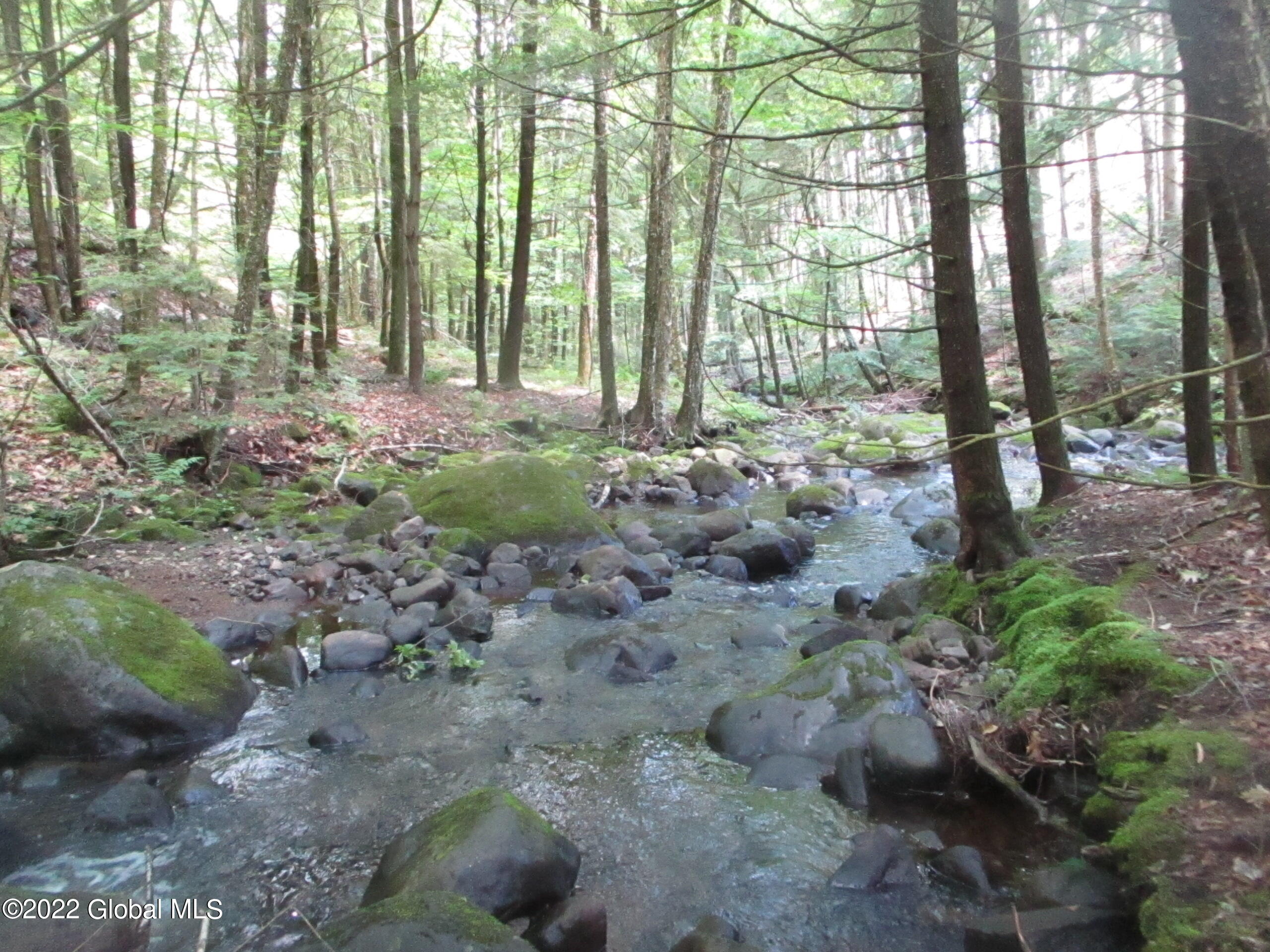 197 Min Allen Road Hadley, NY 12835 - Photo 48 of 73 48 A-Town Creek
