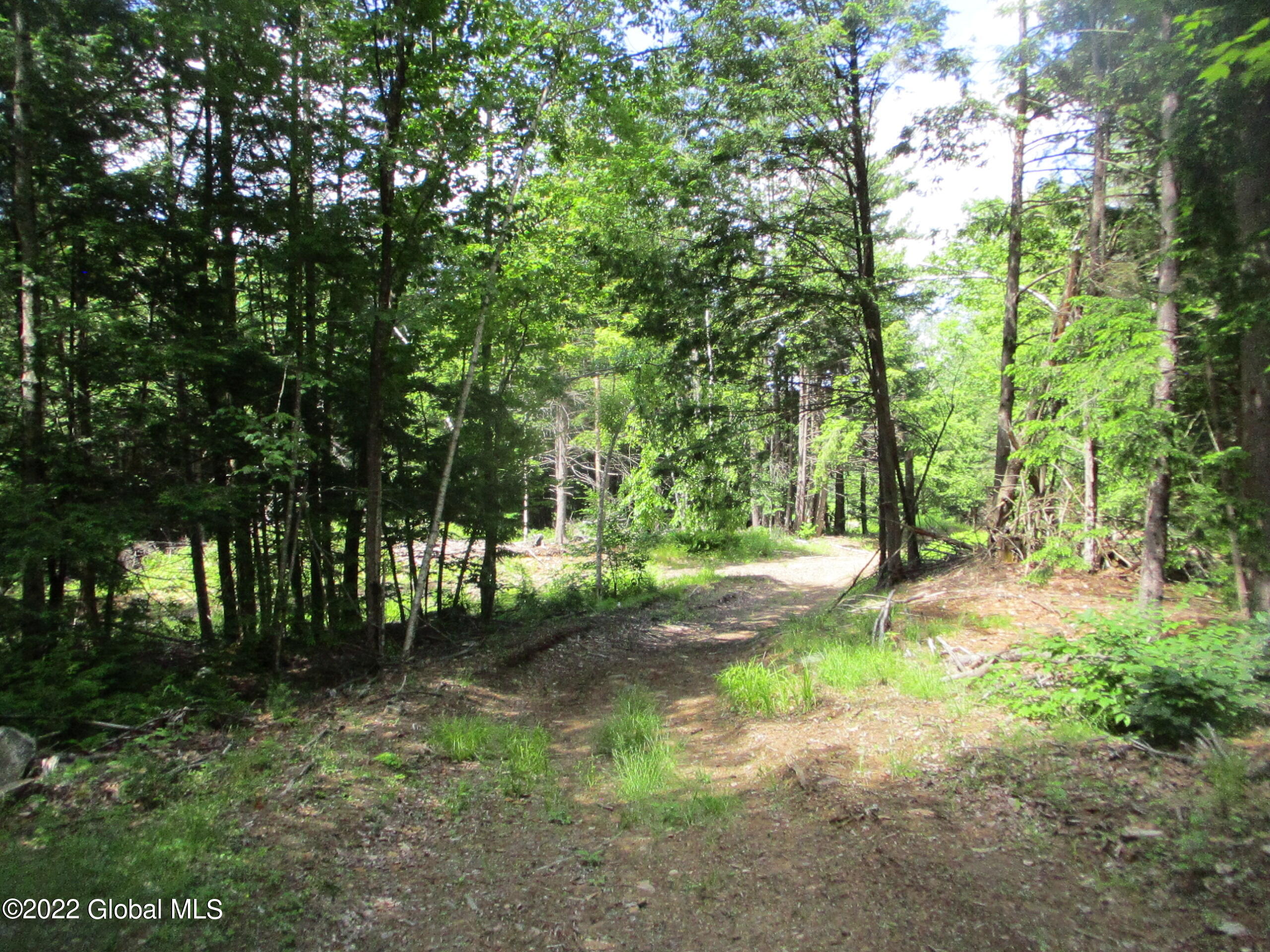 197 Min Allen Road Hadley, NY 12835 - Photo 54 of 73 54 ATV Trail