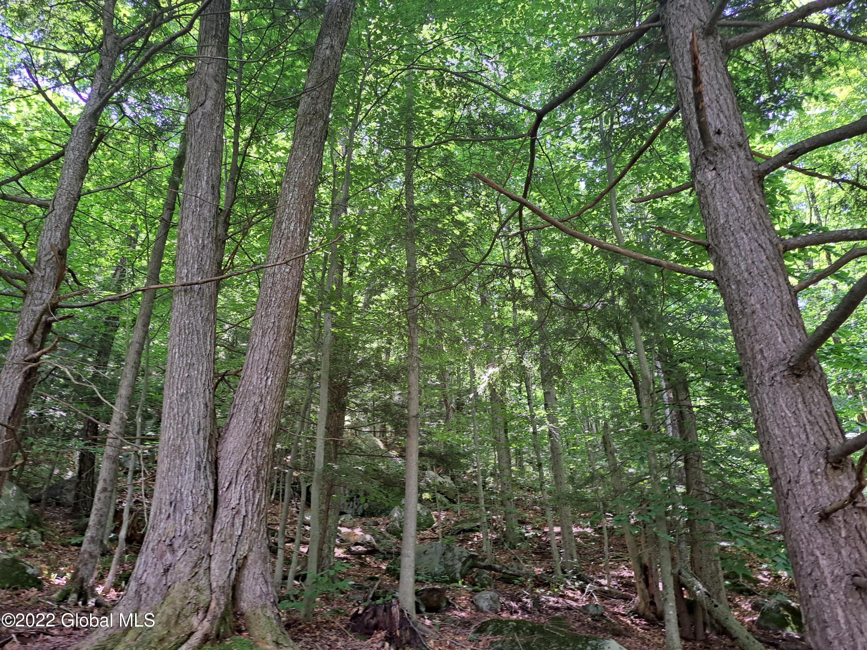 197 Min Allen Road Hadley, NY 12835 - Photo 58 of 73 58 Hemlock Glade