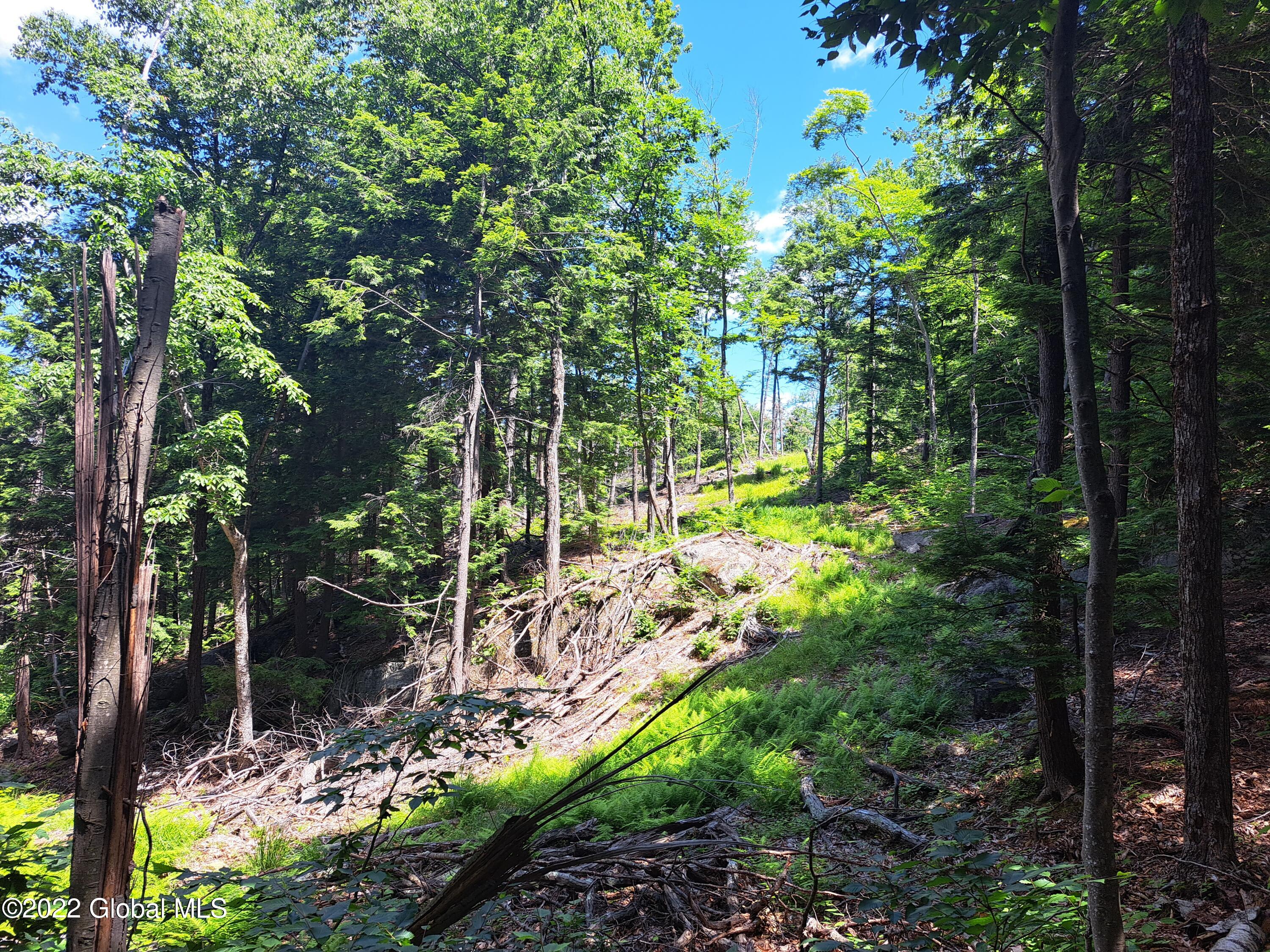 197 Min Allen Road Hadley, NY 12835 - Photo 60 of 73 60 Hemlock Glade