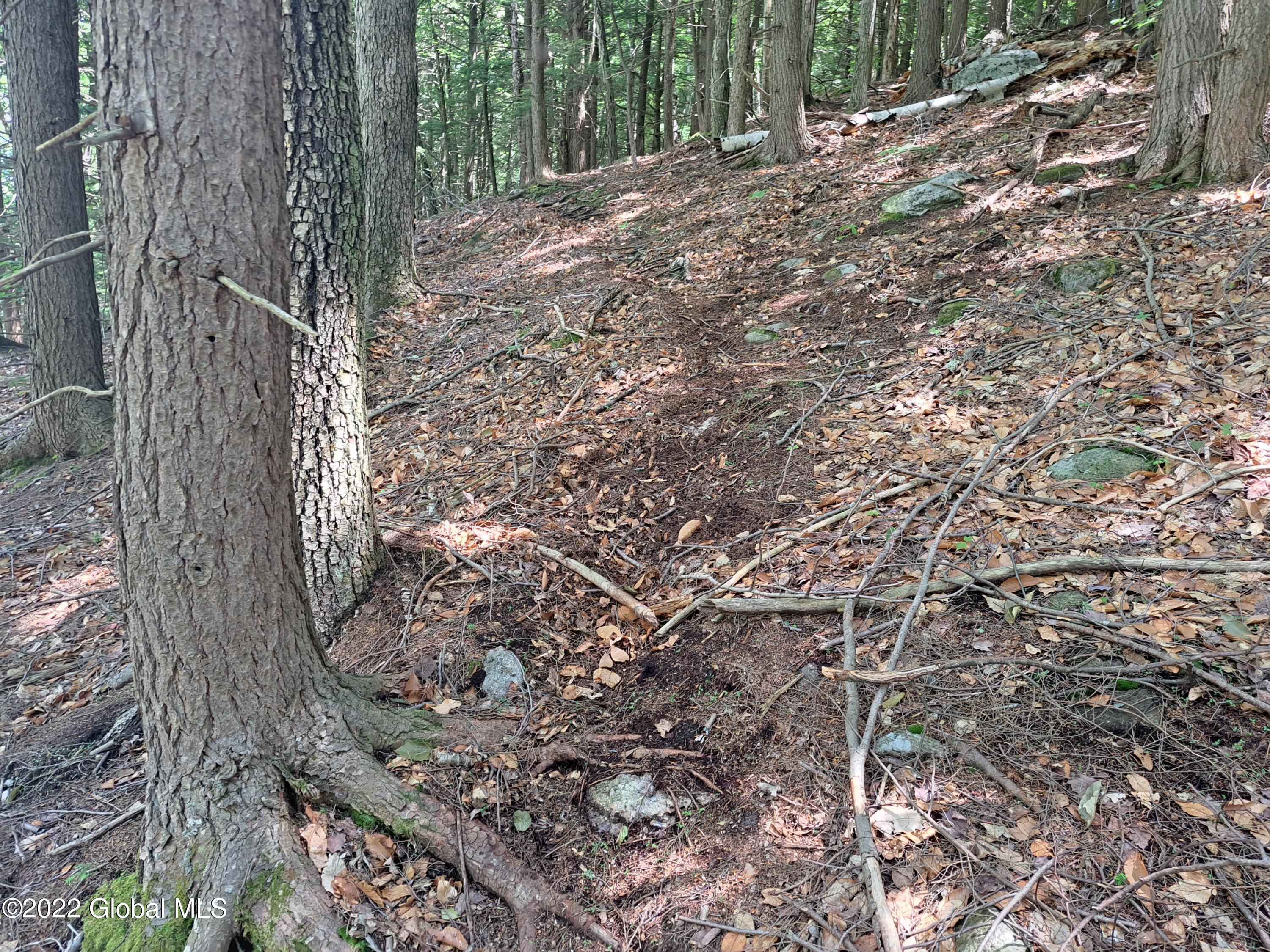 197 Min Allen Road Hadley, NY 12835 - Photo 63 of 73 63 Herd Trail at Hemlock Glade