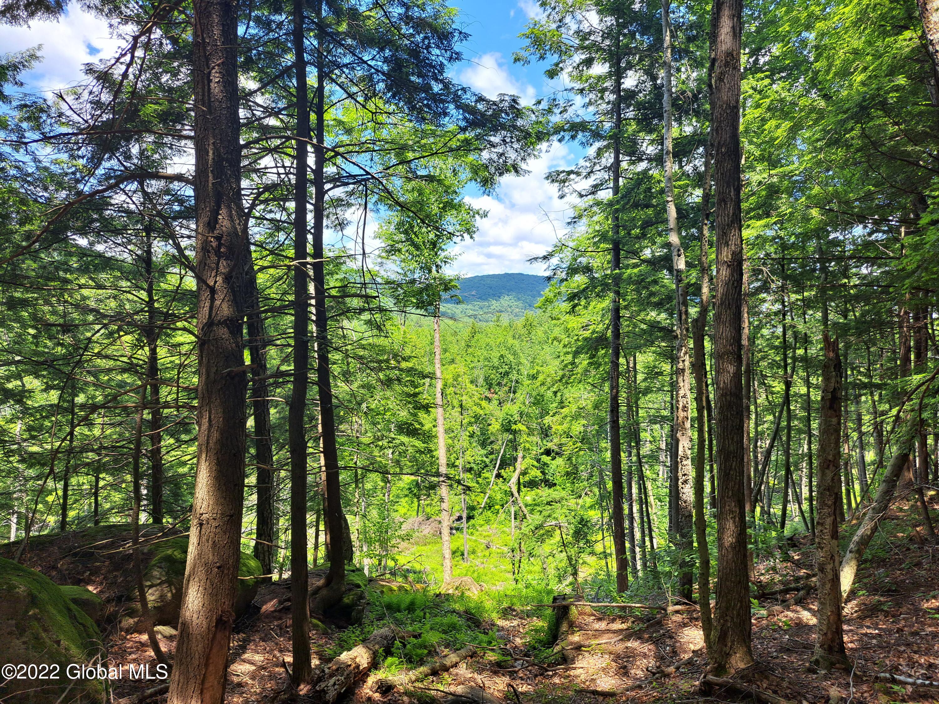 197 Min Allen Road Hadley, NY 12835 - Photo 65 of 73 65 Northerly View From Hemlock Glade