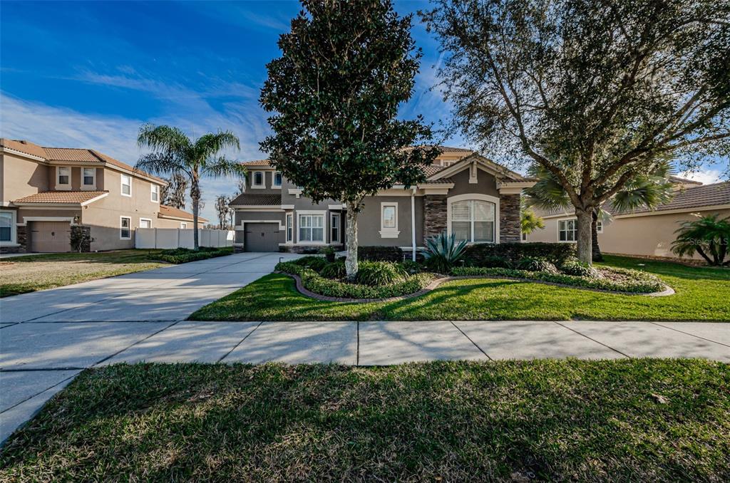 11600 Manistique Way New Port Richey, FL 34654 - Photo 1 of 1 a front view of a house with a yard