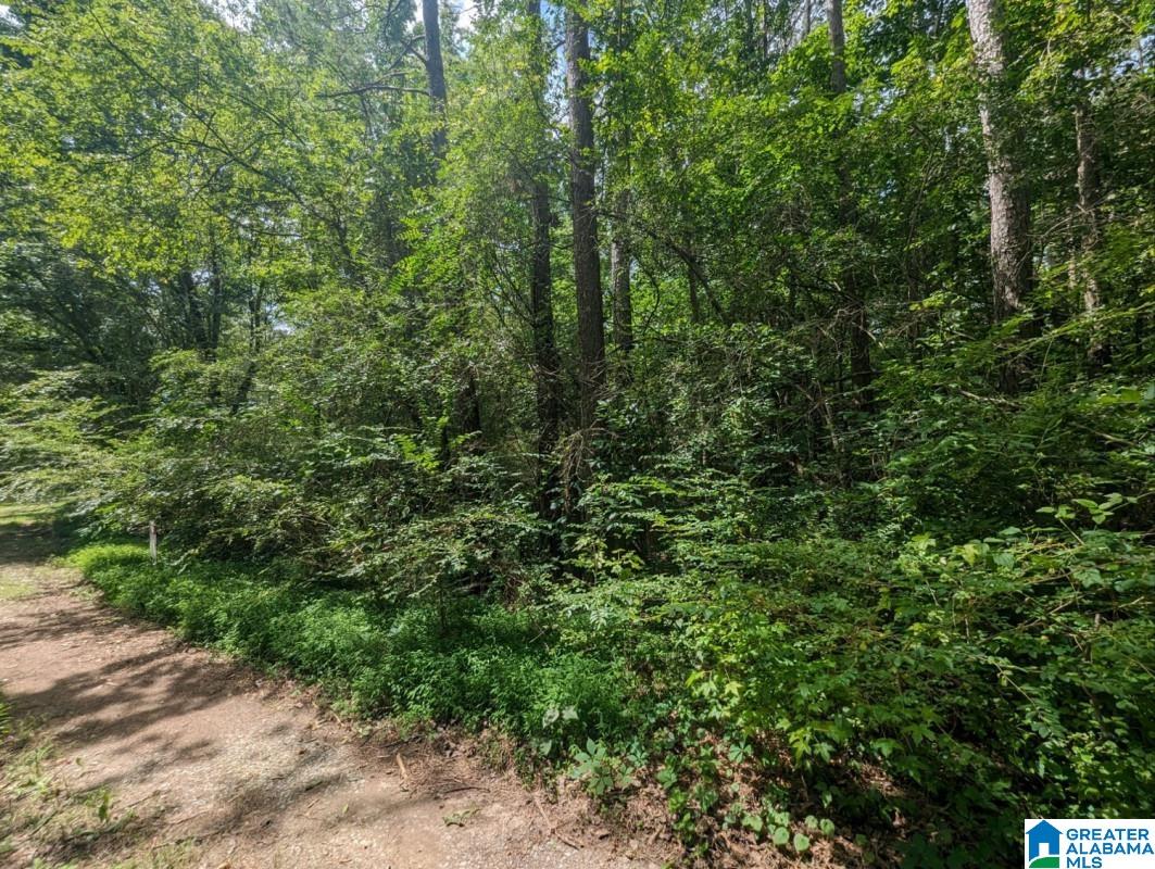 0 Blocker Road Eva, AL 35621 - Photo 5 of 6