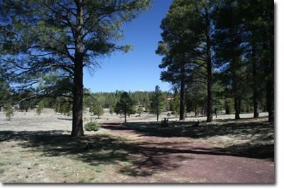 855 Homestead Road Flagstaff, AZ 86005 - Photo 11 of 13 Additional Photo