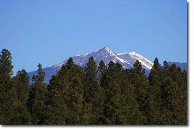 855 Homestead Road Flagstaff, AZ 86005 - Photo 12 of 13 Additional Photo