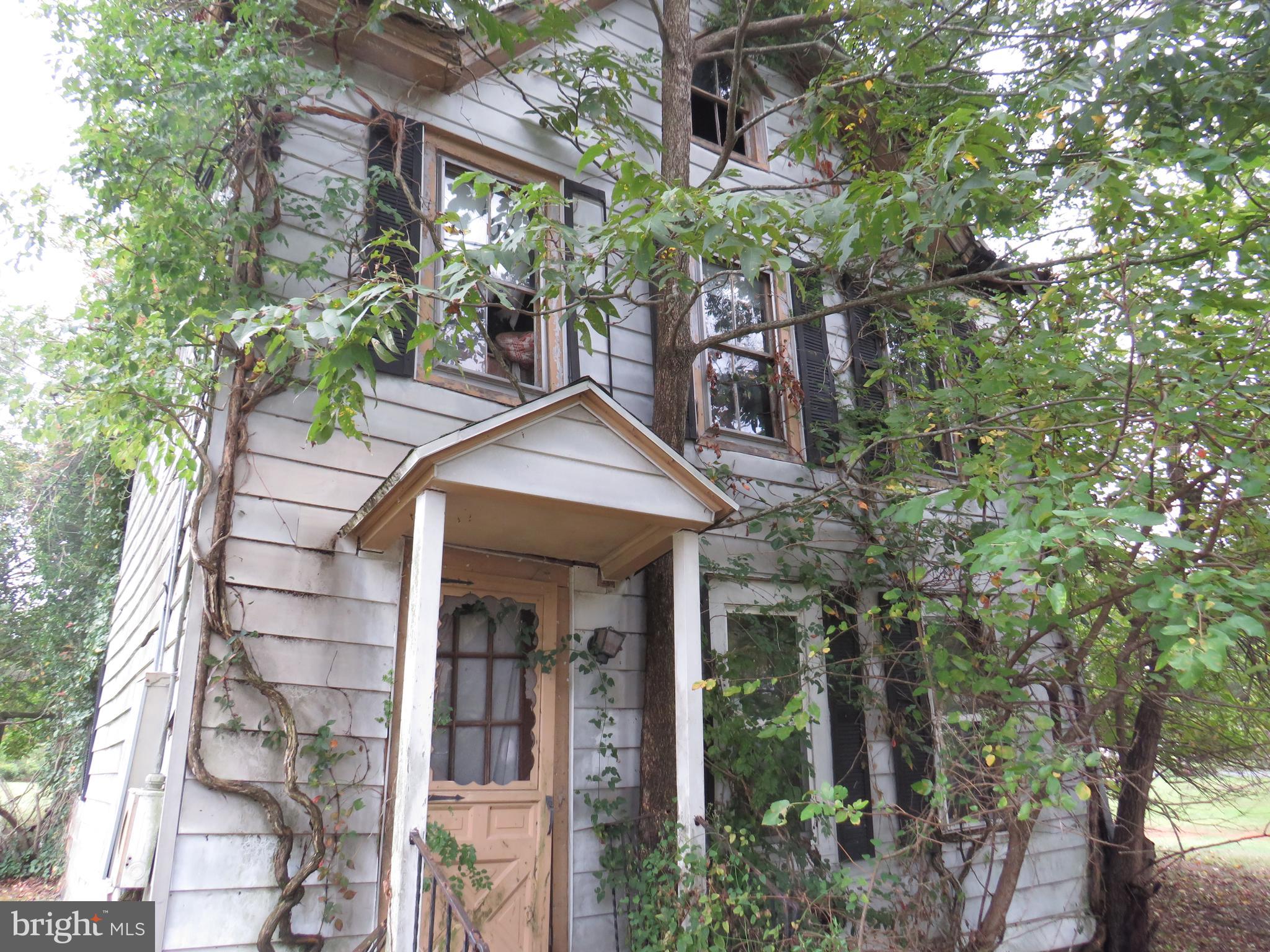 4211 Jacksonville Road Crisfield, MD 21817 - Photo 5 of 5 Trees growing through house