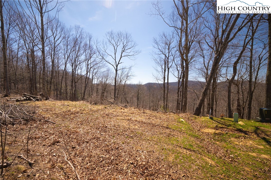 Lot 80 Bear Paw Road Elk Park, NC 28622 - Photo 9 of 19