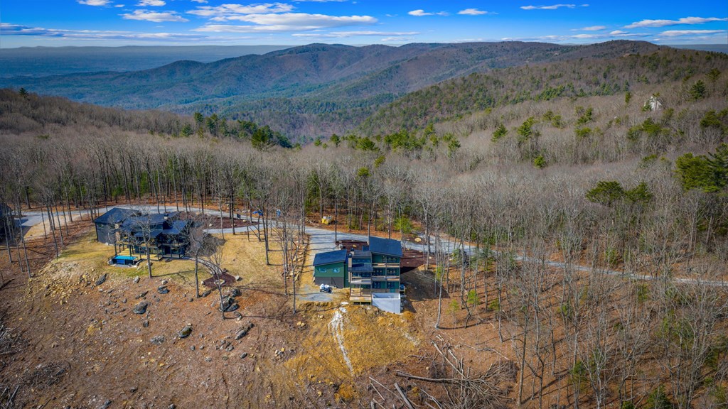 17 Pinhoti Trail Ellijay, GA 30540 - Photo 20 of 37