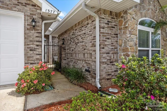a view of a backyard with plants