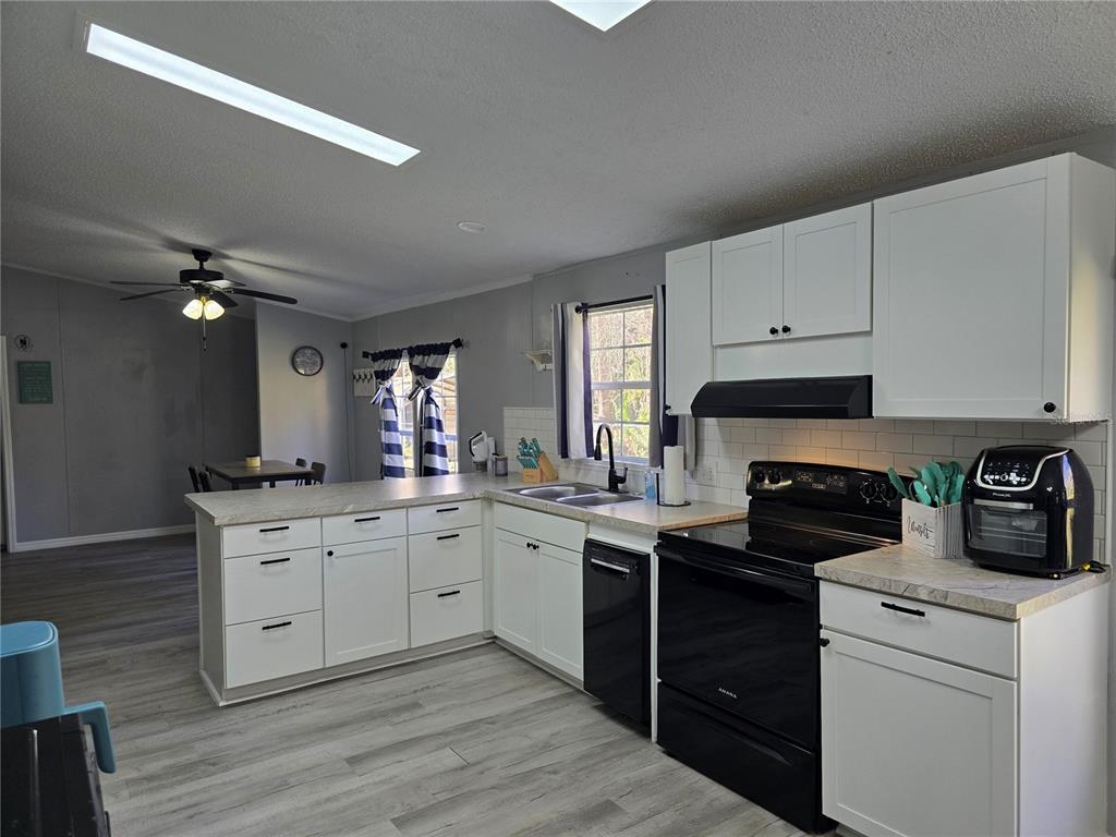 55921 Fern Road Astor, FL 32102 - Photo 4 of 24 a kitchen with a sink dishwasher a stove and white cabinets