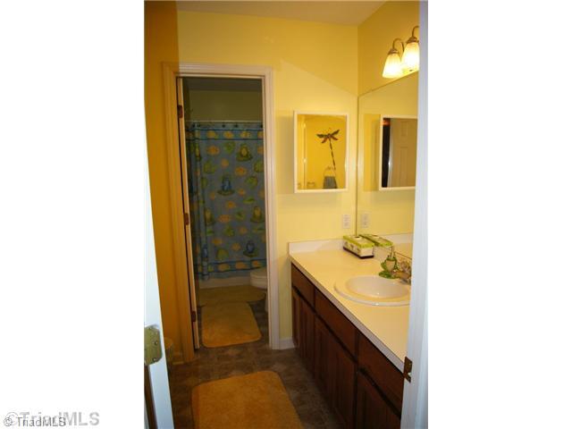 5462 Rolling Meadows Road Randleman, NC 27317 - Photo 8 of 16 Master Bath/Spa.