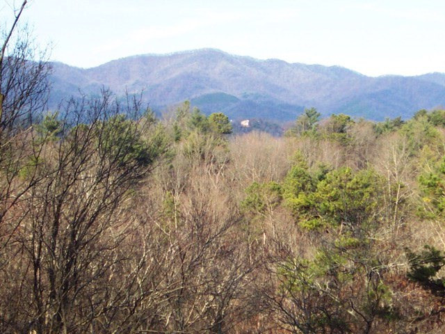 Lot #7 Chestnut Flts Road Andrews, NC 28901 - Photo 6 of 6