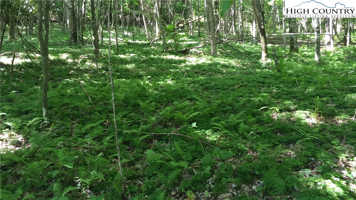 513 Farmers Store Road Lansing, NC 28643 - Photo 10 of 16
